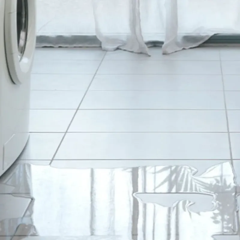 Appliance Leak Cleanup in Gillett, WI