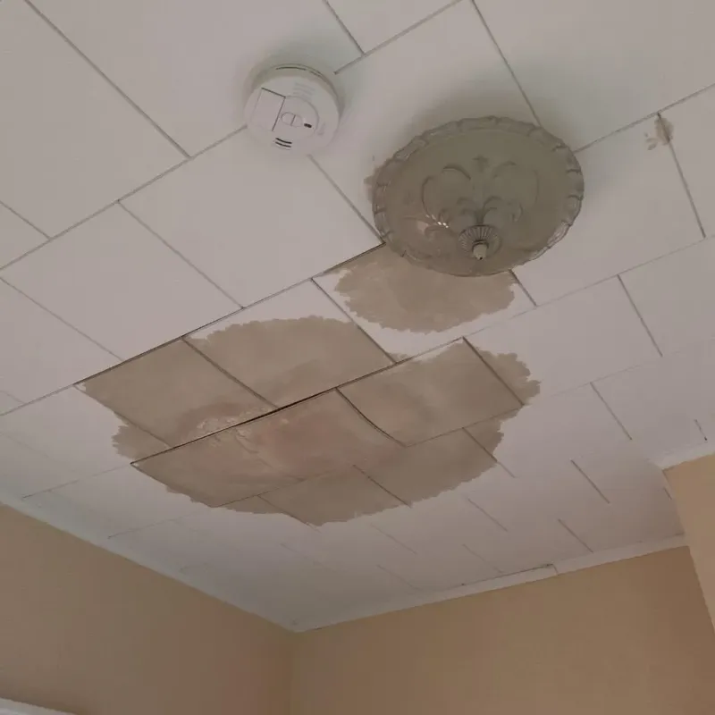 Ceiling Water Damage Repair in Gillett, WI