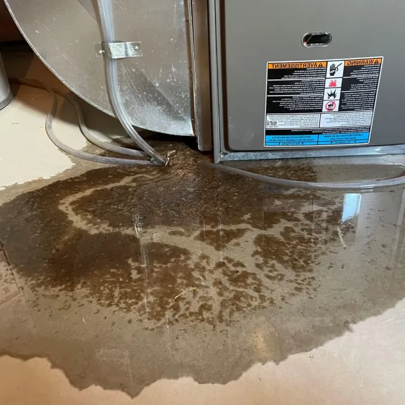 Pipe Burst and Leak Restoration in Gillett, WI