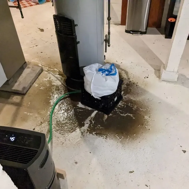 Sewage Backup Cleanup Service in Gillett, WI
